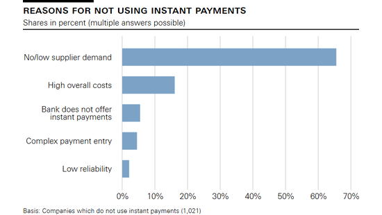 Reasons for not using instant payments