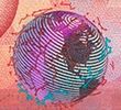 banknote_widget_series_9_design_denomination_20_front_detail_2_01.n.jpg