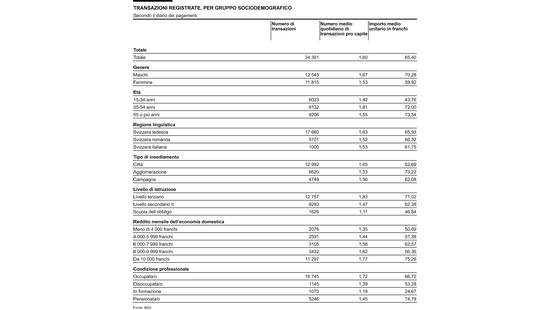  transazioni registrate, per gruppo sociodemografico