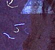 banknote_widget_series_9_security_concept_denomination_100_back_detail_04_1.n.jpg