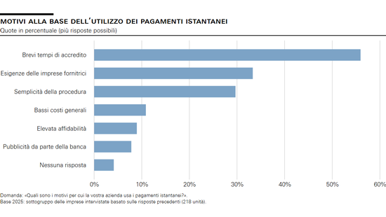 Motivi alla base dell’utilizzo dei pagamenti istantanei
