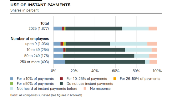 Use of instant payments