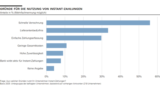 Gründe für die Nutzung von Instant-Zahlungen