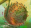 banknote_widget_series_9_design_denomination_50_front_detail_2_01.n.jpg