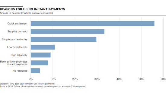 Reasons for using instant payments