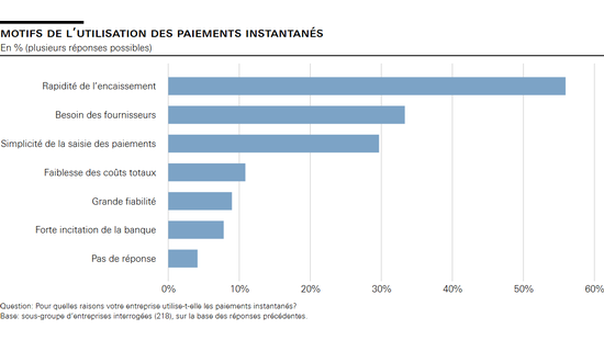 Motifs de l’utilisation des paiements instantanés