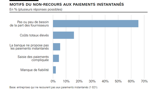 Motifs du non-recours aux paiements instantanés