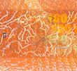 banknote_widget_series_9_security_concept_denomination_100_front_detail_02_2b.n.jpg