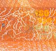 banknote_widget_series_9_security_concept_denomination_100_front_detail_02_2b.n.jpg