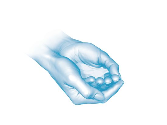 design_elements_hand_100.n.jpg
