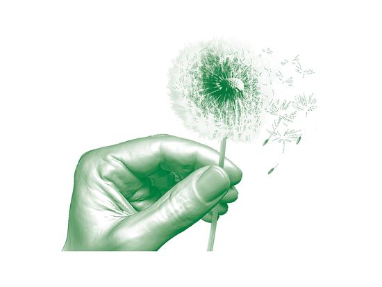 design_elements_hand_50.n.jpg